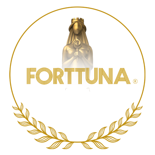 Forttuna Startup Excellence Program